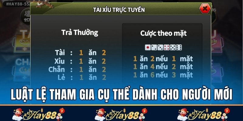 Luật lệ tham gia cụ thể dành cho người mới